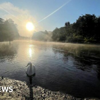 Temperatures forecast to top 20C in mild, wet week