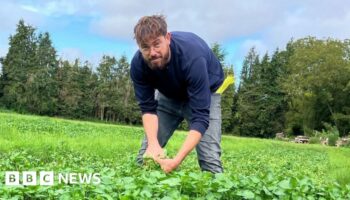 The city workers who found fulfilment in the fields