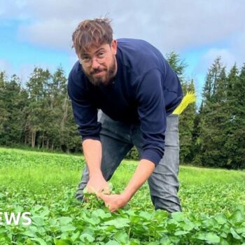 The city workers who found fulfilment in the fields