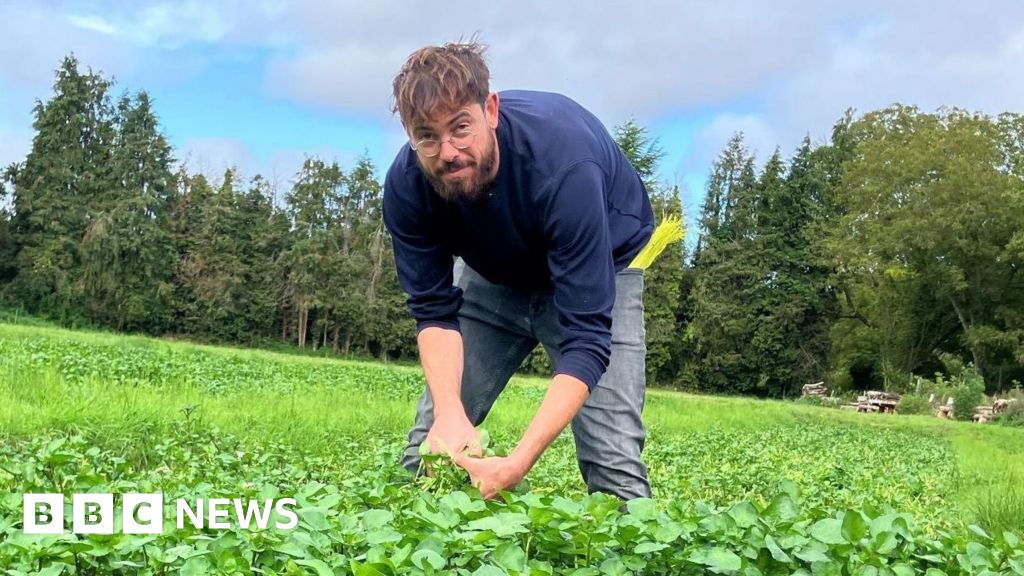 The city workers who found fulfilment in the fields