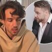 The worrying signs Liam Payne's life had spiralled out of control: Fans voiced fears over erratic red carpet display, shock hospitalisation, cancelled gigs and rambling videos