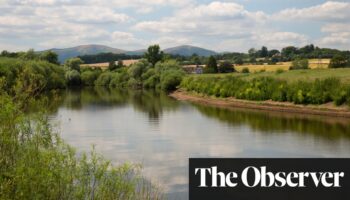 Top-rated UK water firms ‘dumped 1,374 illegal spills into rivers’