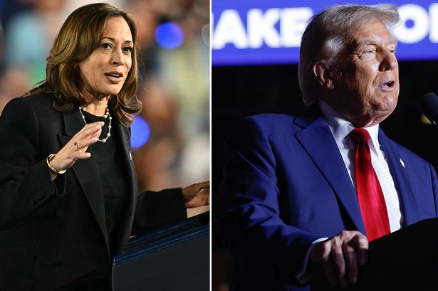 US election poll tracker: Who is ahead in Donald Trump v Kamala Harris White House race?