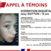 Un appel à témoins lancé en Loire-Atlantique après la disparition d’un enfant de 13 ans