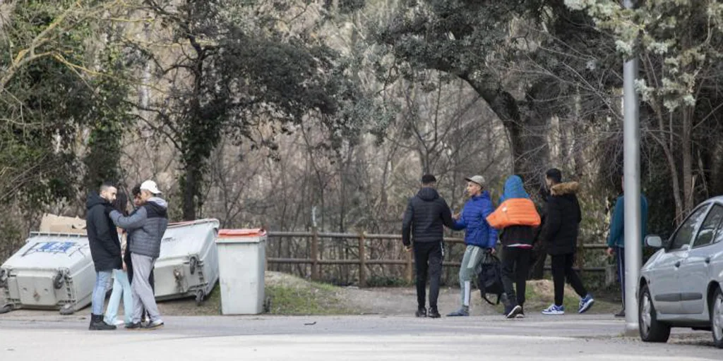 Un perro muerde a un mena que intentó robar el móvil a su dueña en la Casa de Campo