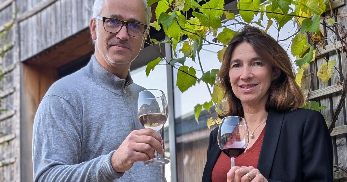 «Une alternative pour se faire plaisir» : une cave à vins 100% sans alcool ouvre à Bordeaux