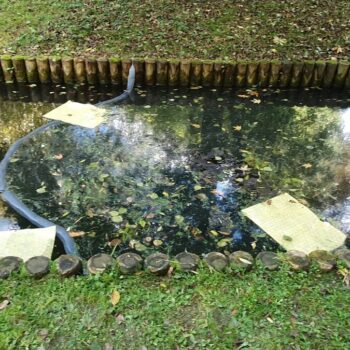 « Une horrible odeur de gazole » : alerte à la pollution dans le bassin du parc de Lesser à Ville-d’Avray