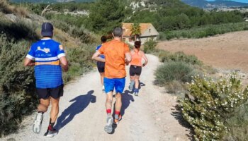 Vecinos recurren al Supremo contra el Gobierno por autorizar una macroplanta solar en un valle de bosques en Alicante