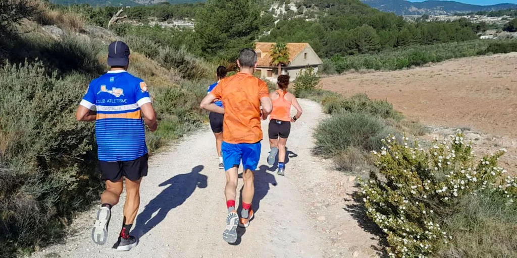 Vecinos recurren al Supremo contra el Gobierno por autorizar una macroplanta solar en un valle de bosques en Alicante