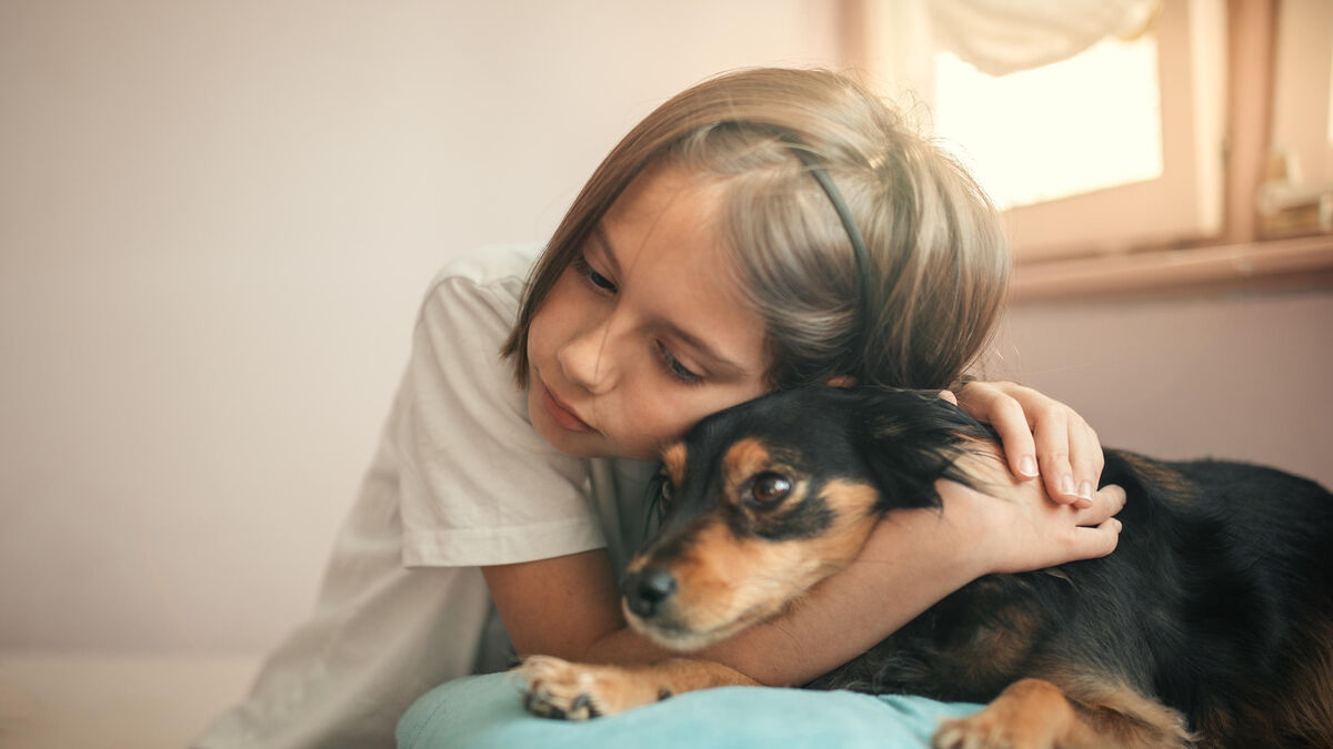 « Violent avec son animal, violent en général » : le dispositif inédit du Val-d’Oise pour protéger les enfants