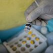 Virus monkeypox : un premier cas du nouveau variant confirmé en Allemagne