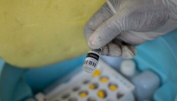 Virus monkeypox : un premier cas du nouveau variant confirmé en Allemagne