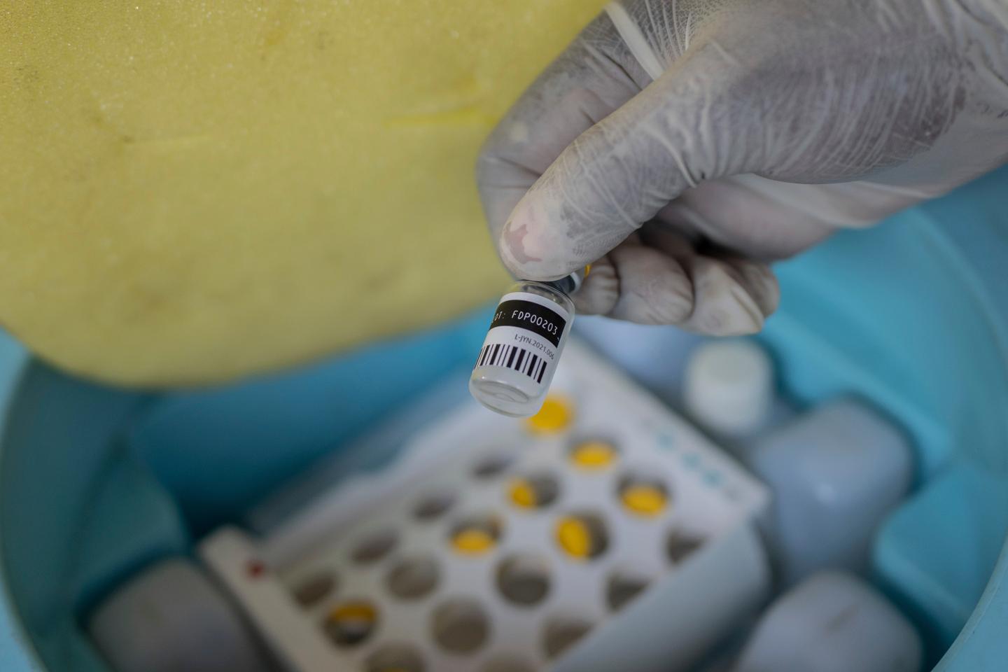 Virus monkeypox : un premier cas du nouveau variant confirmé en Allemagne