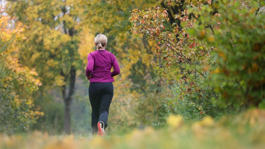 Wetter heute: Eine Frau läuft in Baden-Württemberg an herbstlich verfärbten Laubbäumen vorbei