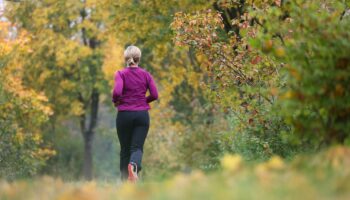 Wetter heute: Eine Frau läuft in Baden-Württemberg an herbstlich verfärbten Laubbäumen vorbei