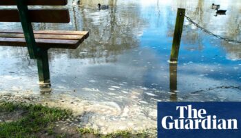 Water companies raise bonuses to £9.1m despite record sewage discharges