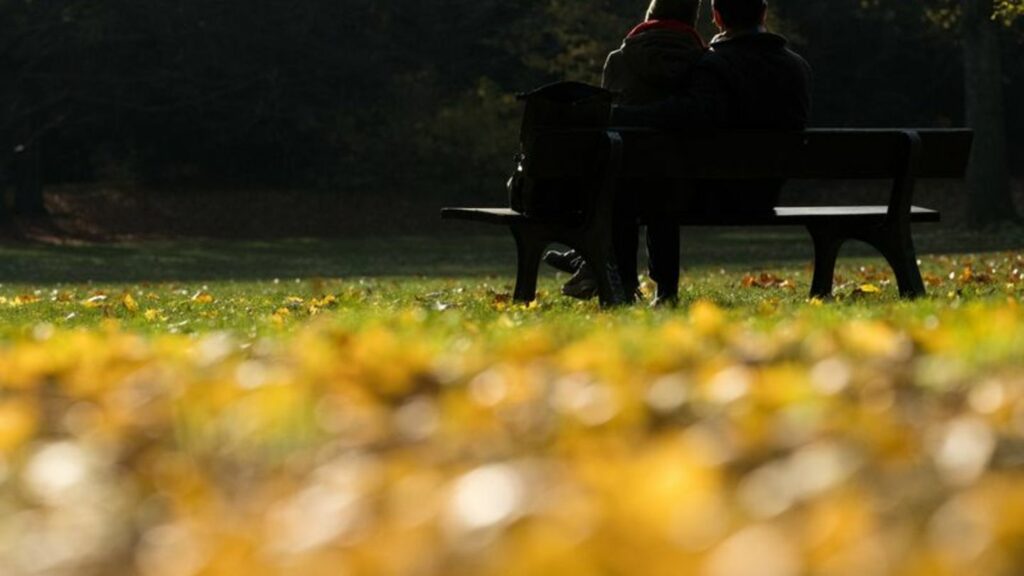 Goldene Herbsttage mit milden Temperaturen stehen in Berlin und Brandenburg an. (Archivfoto) Foto: Sebastian Christoph Gollnow/d