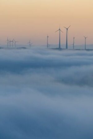 Der Deutsche Wetterdienst erwartet in Rheinland-Pfalz und im Saarland weiter Nebel - sonst aber ruhiges, mildes Herbstwetter. (S