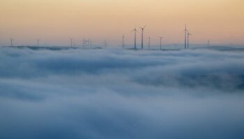 Der Deutsche Wetterdienst erwartet in Rheinland-Pfalz und im Saarland weiter Nebel - sonst aber ruhiges, mildes Herbstwetter. (S