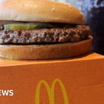 What we know about the US McDonald's E. coli outbreak