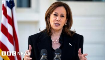 Why Harris moved from 'joy' to calling Trump 'a fascist'