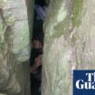 Woman wedged upside down between boulders for seven hours after trying to retrieve phone in regional NSW