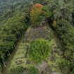 'World's oldest pyramid' discovered in Java jungle amazing archaeologists