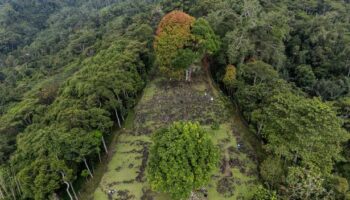 'World's oldest pyramid' discovered in Java jungle amazing archaeologists