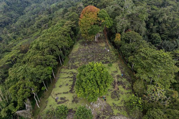 'World's oldest pyramid' discovered in Java jungle amazing archaeologists