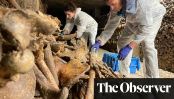 ‘Bodies were dropped down quarry shafts’: secrets of millions buried in Paris catacombs come to light