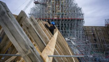 1000 pièces de bois, des centaines d’artisans… L’épopée de la reconstitution de la charpente de Notre-Dame de Paris