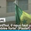 Sénégal : "Aujourd'hui, il nous faut une Assemblée forte", assure le directeur de campagne du Pastef