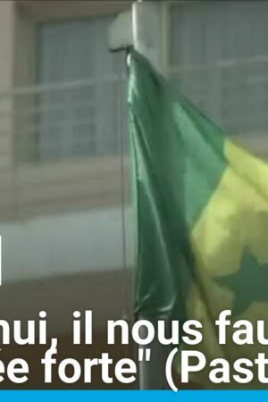 Sénégal : "Aujourd'hui, il nous faut une Assemblée forte", assure le directeur de campagne du Pastef