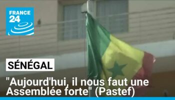 Sénégal : "Aujourd'hui, il nous faut une Assemblée forte", assure le directeur de campagne du Pastef