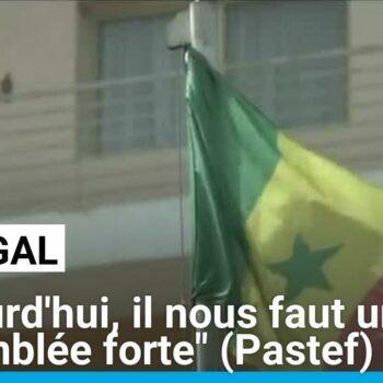 Sénégal : "Aujourd'hui, il nous faut une Assemblée forte", assure le directeur de campagne du Pastef