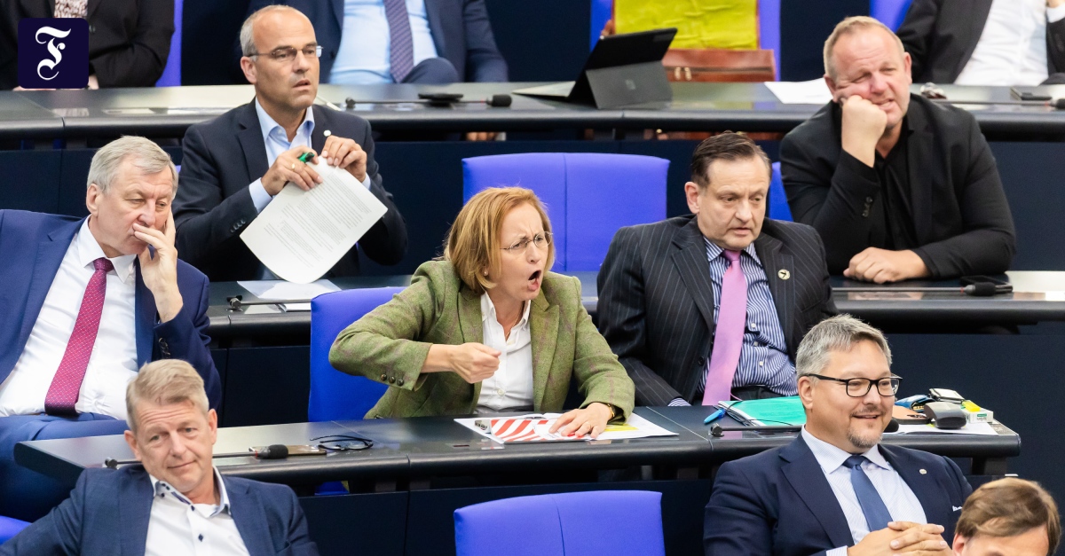 Tonfall im Bundestag: „Die AfD will die Demokratie lächerlich machen“