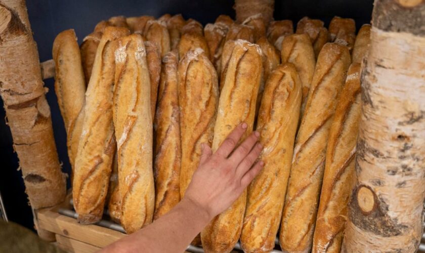 La France fait-elle encore le meilleur pain du monde ?