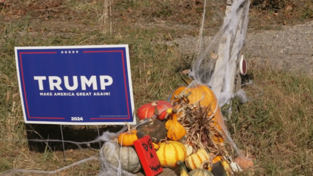 Présidentielle américaine 2024 : dans le Michigan, la campagne s'invite à Halloween