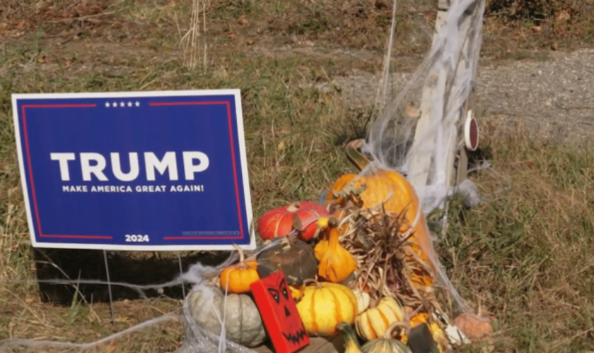 Présidentielle américaine 2024 : dans le Michigan, la campagne s'invite à Halloween