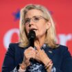 Donald Trump suggère de pointer une arme sur Liz Cheney, la républicaine pro-Harris lui répond