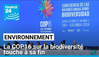 La COP16 sur la biodiversité touche à sa fin mais pas de texte final en vue