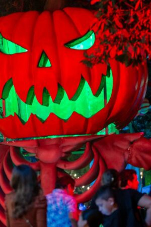 La soirée d’Halloween à Dublin se transforme en chaos à cause d’une mauvaise blague