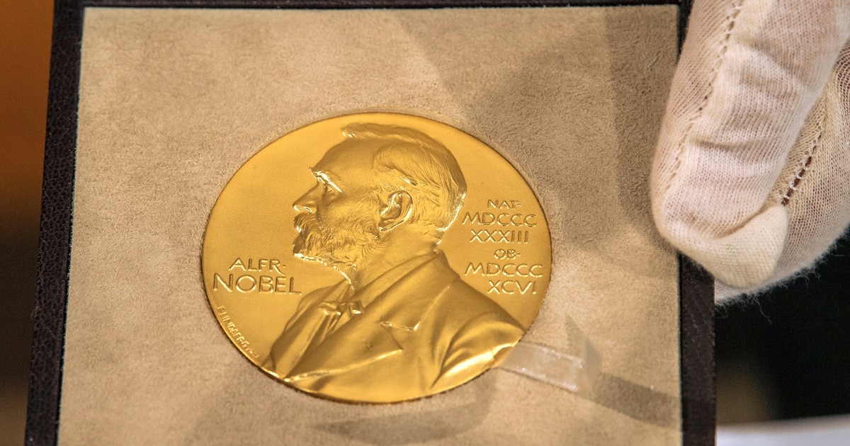 La médaille Nobel. Les travaux sur les nouveaux matériaux et l'intelligence artificielle figurent en bonne position pour le prix de chimie 2024