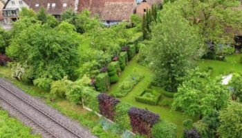 Jardinage : un crédit d’impôts pour entretenir le jardin de votre maison