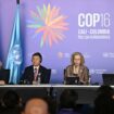 COP16 biodiversité : à quelques heures de la fin, la Colombie propose un compromis