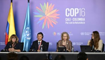 COP16 biodiversité : à quelques heures de la fin, la Colombie propose un compromis