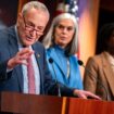 Opponents of antisemitism on campus frustrated by Schumer's failure to move on legislation: 'Stunning'