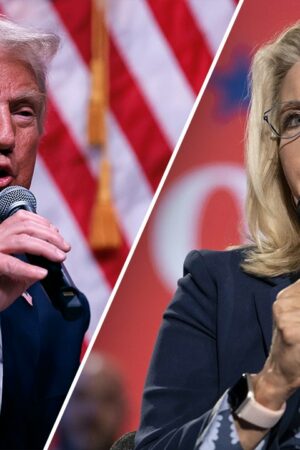 Even liberals, Trump critics blast media's coverage of Liz Cheney comments: 'A bald-faced lie'