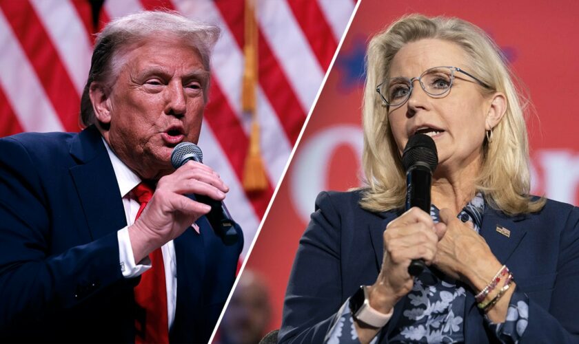 Even liberals, Trump critics blast media's coverage of Liz Cheney comments: 'A bald-faced lie'