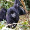 Cabinda – eine von Touristen noch unentdeckte Exklave